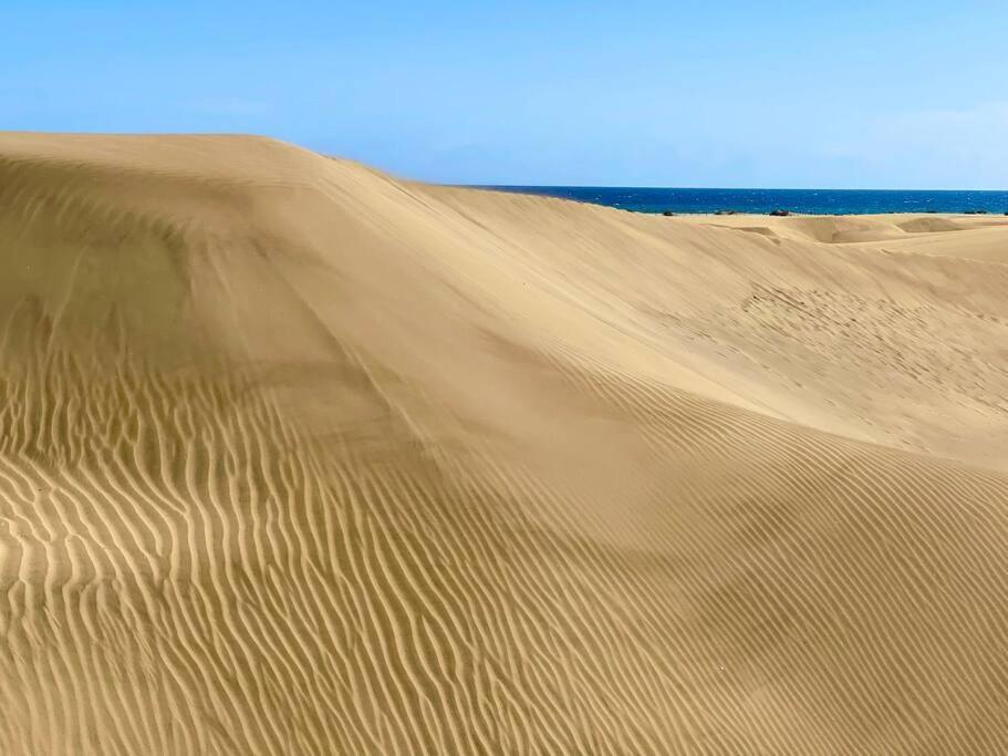 Tamaran 102 - Los Campos - Lux Garden Apt Near Dunes, Quiet-Central-Renovated San Bartolomé المظهر الخارجي الصورة
